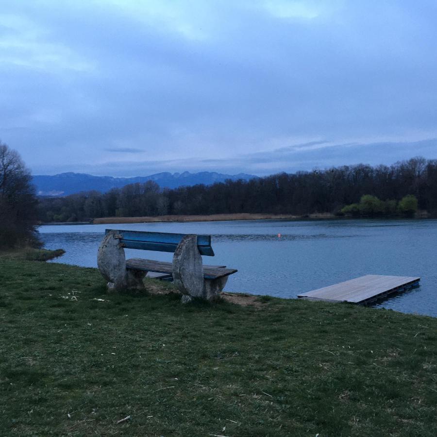 La Villa De Lise Romans-sur-Isère Kültér fotó