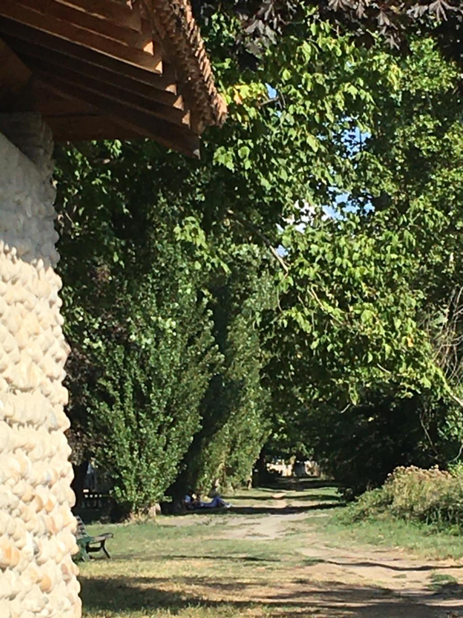 La Villa De Lise Romans-sur-Isère Kültér fotó